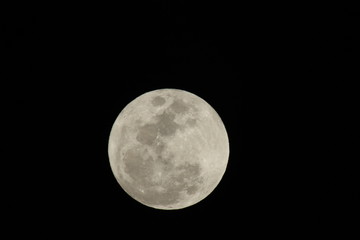 a close up of a full moon © elvis santana