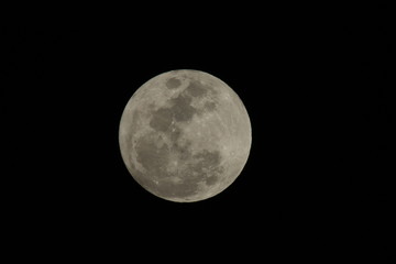 a close up of a full moon © elvis santana