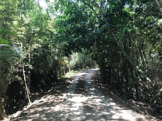 Fototapeta premium caminos naturales