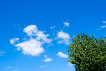 【写真素材】 青空　空　雲　夏の空　背景　背景素材　9月　コピースペース　