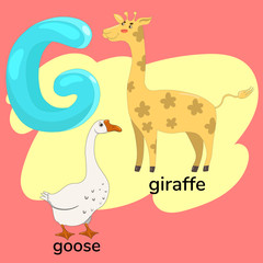 Letter g from the children s alphabet. Vector graphics.
