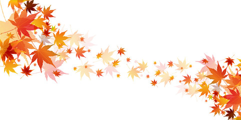  紅葉　もみじ　秋　背景 