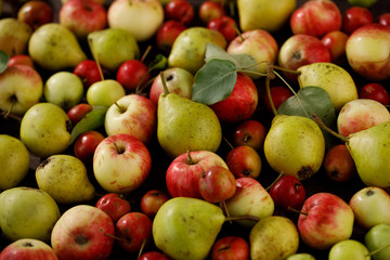 Background from ripe juicy pears and apples for your design. Close-up. Harvest.