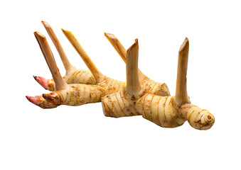 Fototapeta premium Fresh ginger root or rhizome isolated on white background cutout