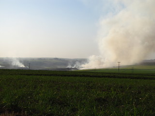 Fire on a sugar cane field in Brazil