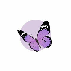 Purple Butterfly Flat Design on White Background