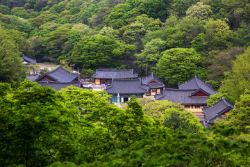 Fototapeta na wymiar Naejangsa Temple in Jeongeup-si, Korea.