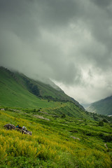 Fototapeta na wymiar Landscape with mountains and clouds, Uttarakhand, India