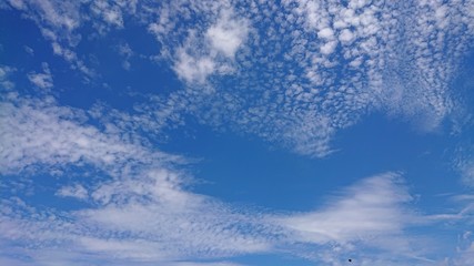 Fototapeta premium blue sky with clouds