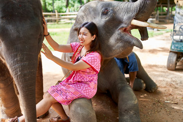 Fototapeta premium female thai tourist having fun with baby elephant at sanctuary in thailand