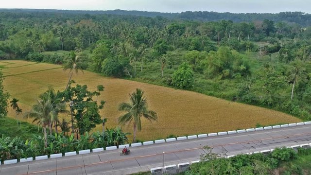 Pan shot of traffic on the Philippines national road with palm trees, cars and bridge in Luzon provine at Abulug