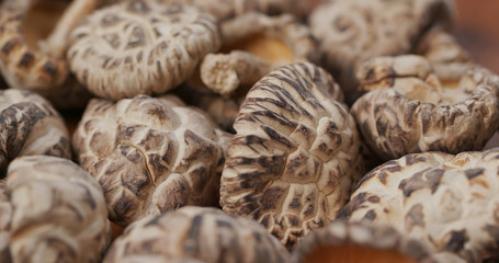 Stack of japanese mushroom in rotation