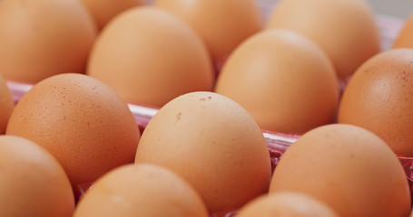 Pack of the chicken egg