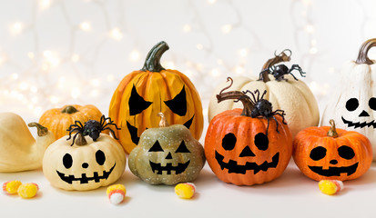 Halloween pumpkins with spider on a shiny light background