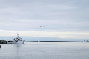Support vessel mooring operations on the sea,White line sky background. Other boats and cruise vessels are sailing around.Seagull bird flying over the ocean in seaport bay at the harbor,Japan
