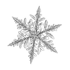 Snowflake isolated on white background. Illustration based on macro photo of real snow crystal: complex stellar dendrite with fine hexagonal symmetry, ornate shape and six thin, elegant arms.