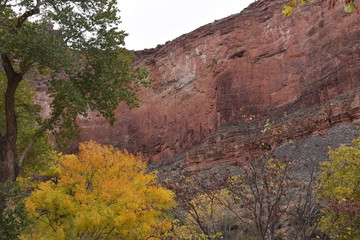 Bright Angel Trail - Grand Canyon
