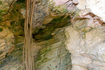 Interior de cueva y liana colgando en ella 