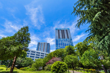 戸山公園の緑とオフィスビルディングの風景