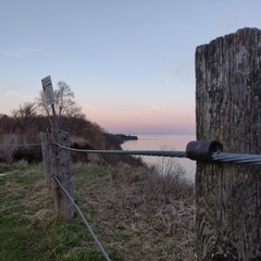 fence on the shore of lake