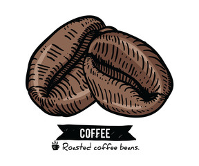 Collection of Coffee beans by Hand drawn with line-art on white backgrounds.