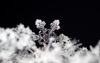natural snowflakes on snow, winter