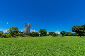 木場公園の芝生広場