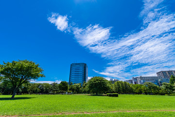 木場公園の芝生広場