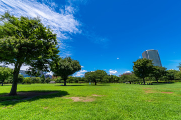 木場公園の芝生広場