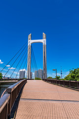 青空と木場公園大橋の風景