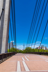 青空と木場公園大橋の風景