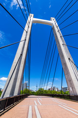 Obraz premium 青空と木場公園大橋の風景