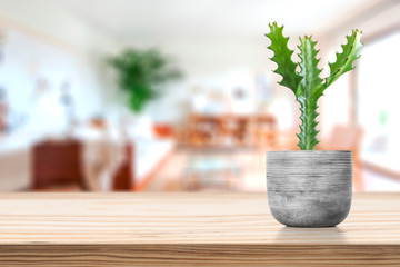 Cement Vase with cactus on vase pot on table