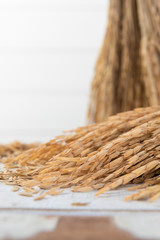 Obraz premium Bouquet dry ear of rice Thai jusmine on wood table.