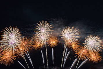 Fireworks on the sky background.