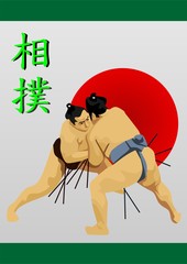 Sumo Fight Japanese Martial Art