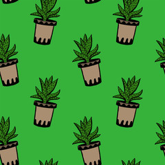 Set of different hand drawn house plants in pots. Isolated decorative plants: aloe, crassula, flower for design template, icon, gift card. Sketch style vector illustration.