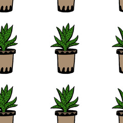 Set of different hand drawn house plants in pots. Isolated decorative plants: aloe, crassula, flower for design template, icon, gift card. Sketch style vector illustration.