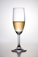 Champagne on white background