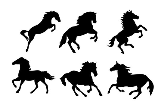 Running and jumping horse silhouette.