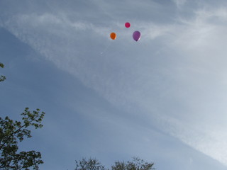 balloons in the sky