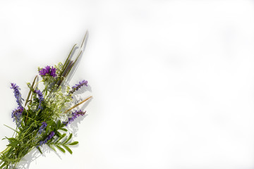 Bouquet of wildflowers on a white background. For design of summer background, green decorative elements, copy space for text. Top view image.