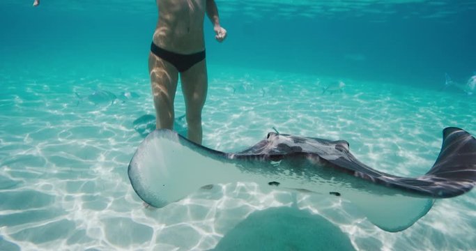 Underwater shot of attractive fit woman swimming with stingrays and fish in blue ocean water