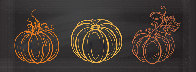 Autumn vector illustration. Graphic pumpkins set on a chalkboard background.