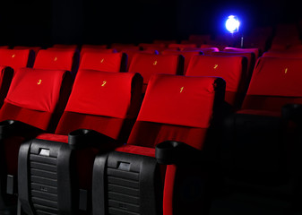 Empty cinema with comfortable chairs - obrazy, fototapety, plakaty