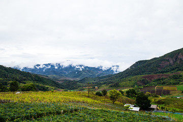 Fototapeta na wymiar Green View of mountain landscape