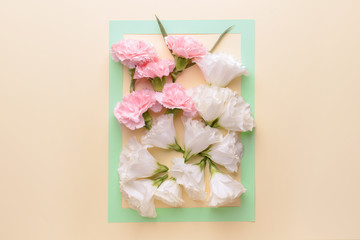 Beautiful flowers and frame on color background