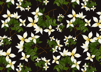 jasmine flowers pattern on black