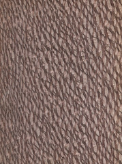 Natural wooden texture background. Lacewood.