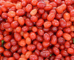 fresh and organic cranberries at the market